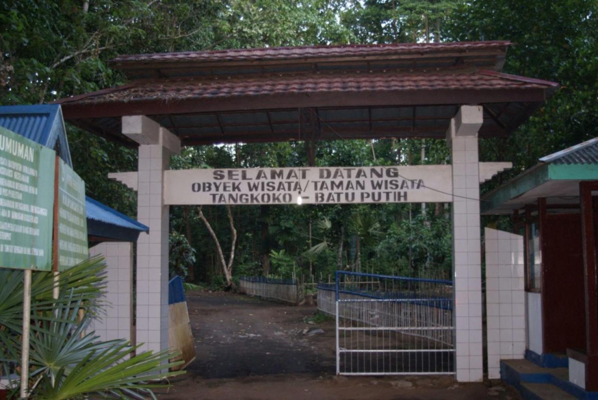Tangkoko Macaca Hotel Rinondoran Ngoại thất bức ảnh