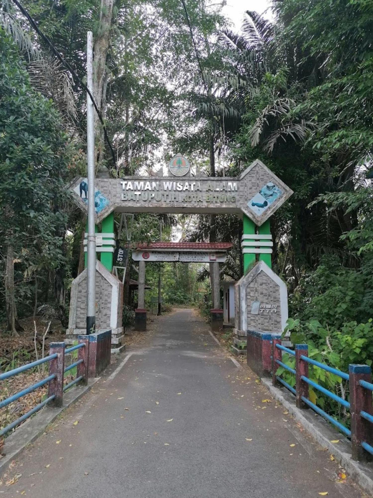 Tangkoko Macaca Hotel Rinondoran Ngoại thất bức ảnh